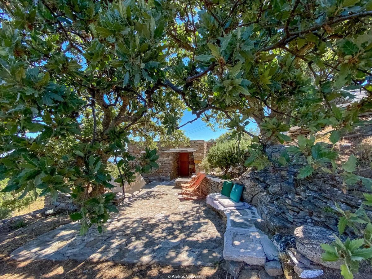 Villa Under Royal Oaks à Pera Meria Extérieur photo