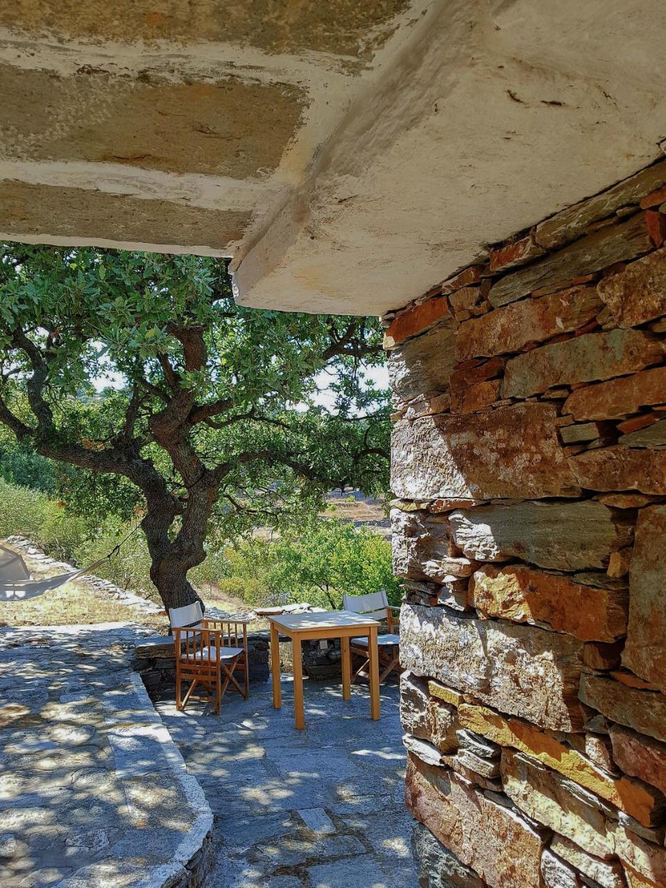 Villa Under Royal Oaks à Pera Meria Extérieur photo