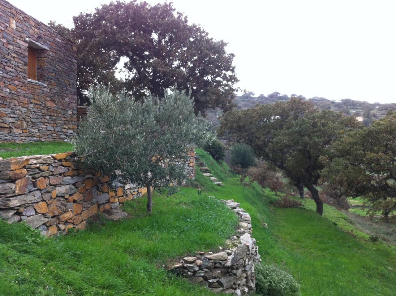 Villa Under Royal Oaks à Pera Meria Extérieur photo